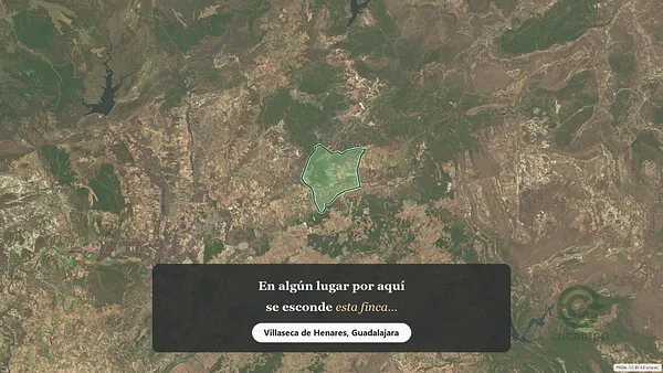 Spot image