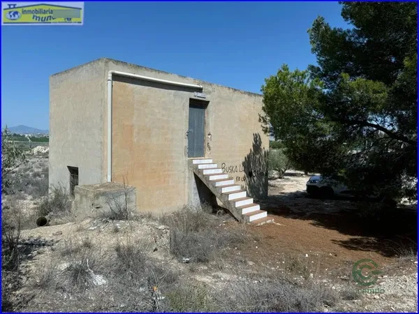 Spot image