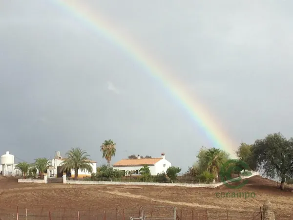 Finca rústica de 140 ha en venta en Sevilla