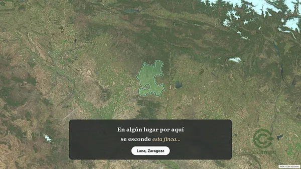 Spot image