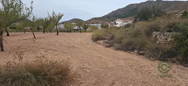 Spot image
