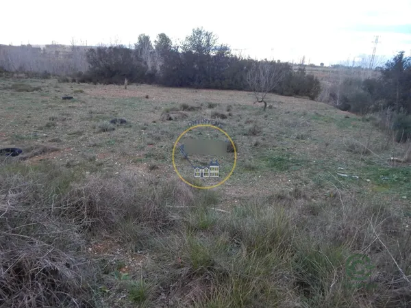 Spot image