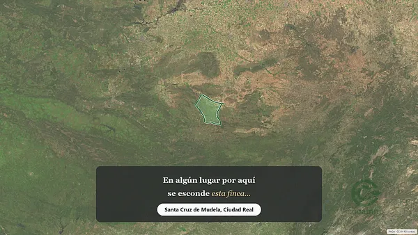 Spot image