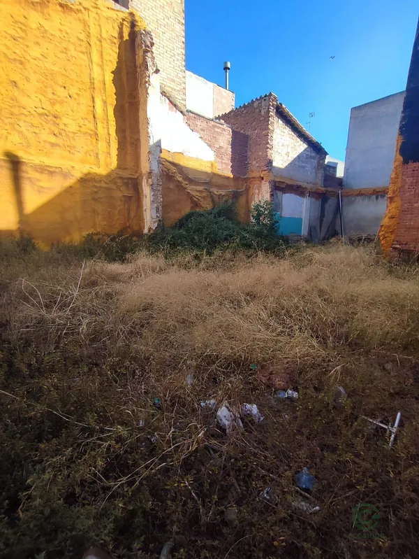 Spot image