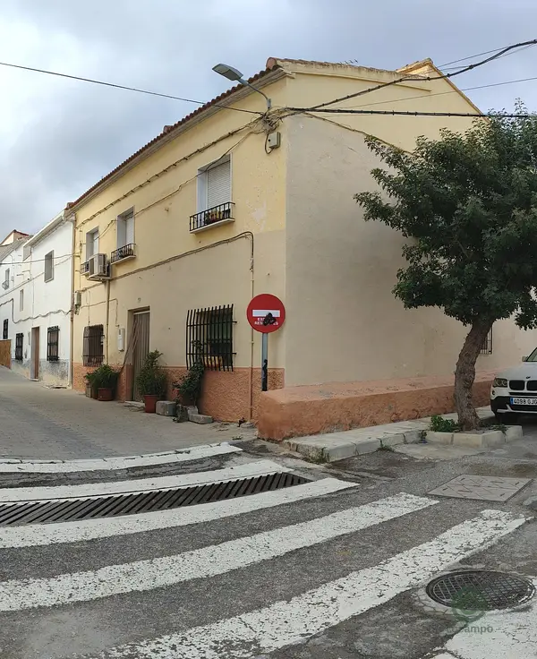 Spot image