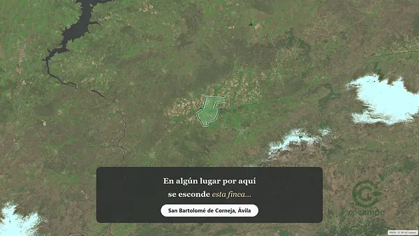 Spot image