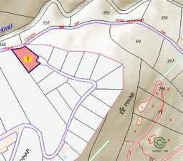 Spot image