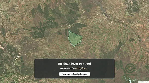 Spot image