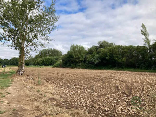 Finca rústica de 0,06 ha en venta en Arlanzón, Burgos