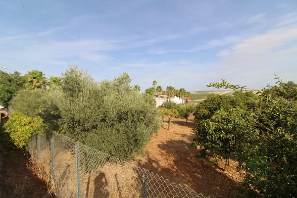 Finca agrícola de 0,2468 ha en venta en Jerez, Cadiz