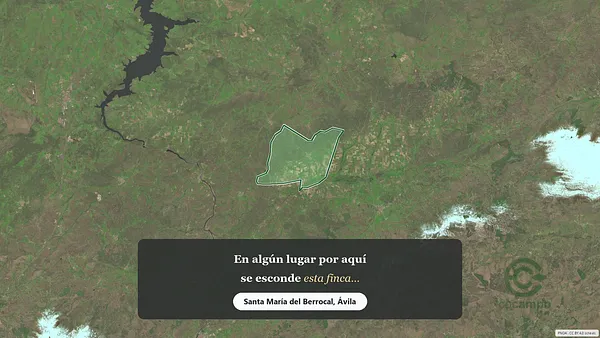 Spot image