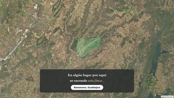 Spot image