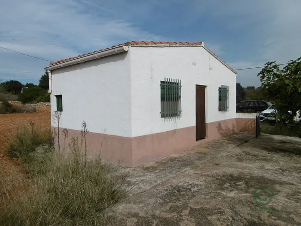 Spot image