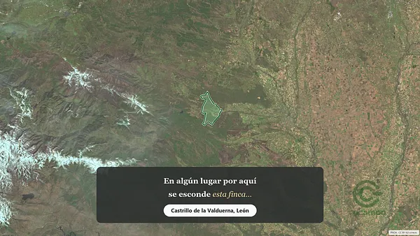 Spot image