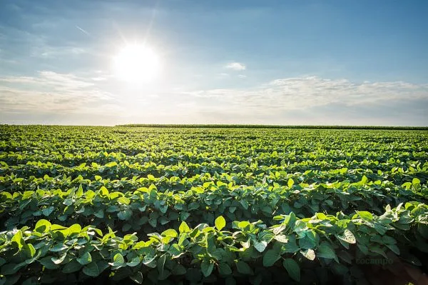Finca rústica de 700 ha en venta en Entre ríos province