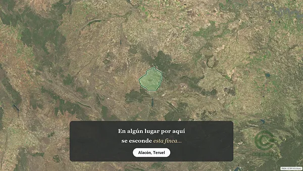 Spot image