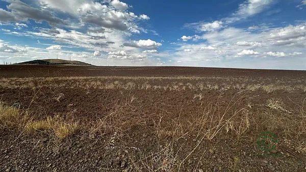 Finca rústica de 0,65 ha en venta en Santa cruz de mudela, Ciudad real
