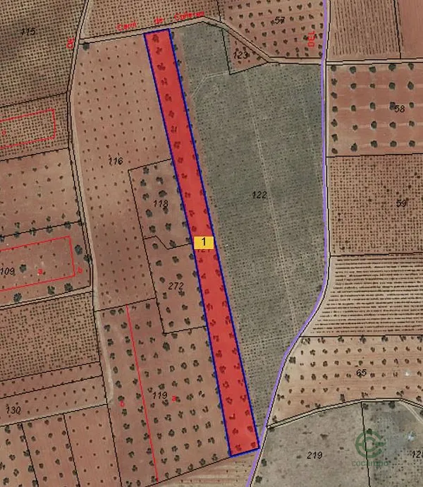 Finca agrícola de 0,22 ha en venta en San Carlos Del Valle, Ciudad Real