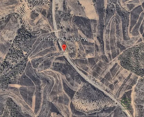 Spot image