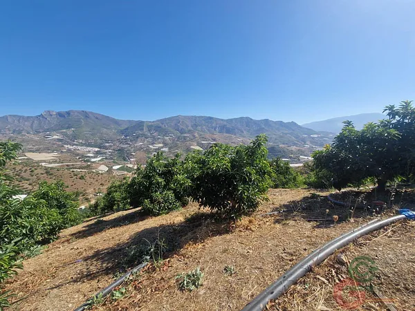 Spot image