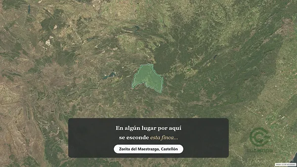 Spot image