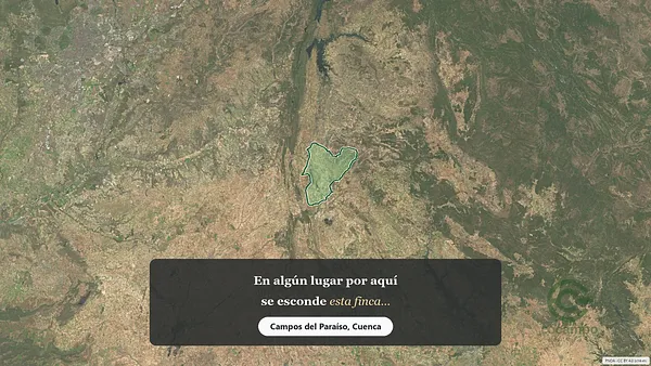Spot image
