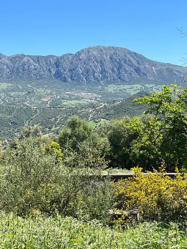Spot image
