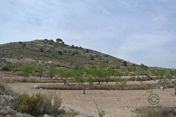 Spot image