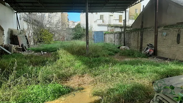 Spot image