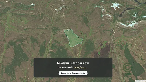 Spot image