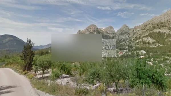 Spot image