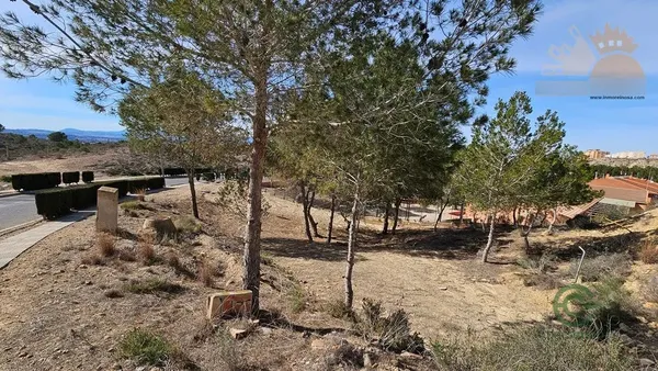 Spot image
