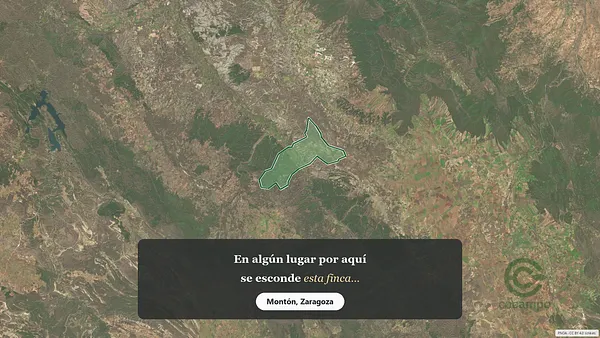 Spot image