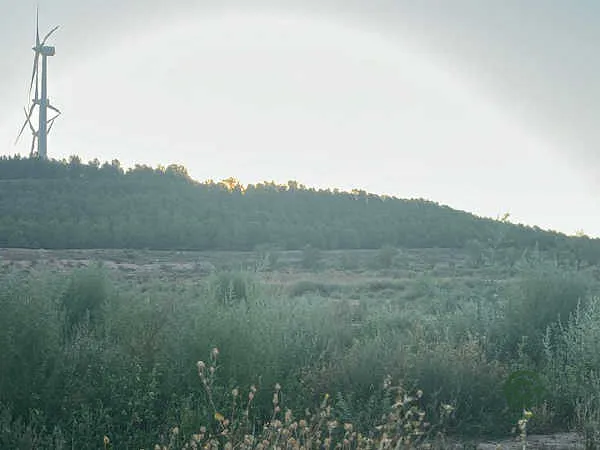Finca rústica de 1,62 ha en venta en Cintruénigo, Navarra