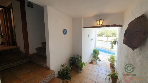 Spot image