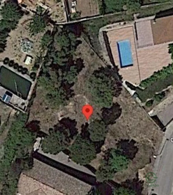 Spot image