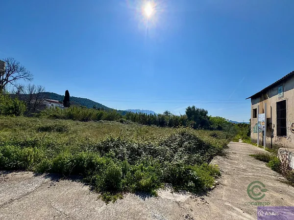 Spot image