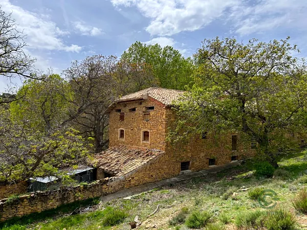Spot image