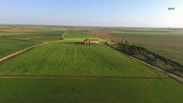 Spot image