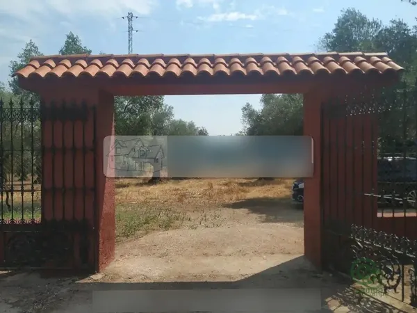 Spot image