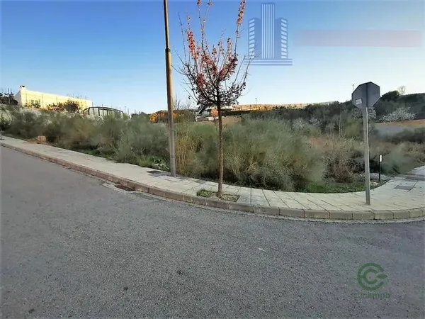 Spot image