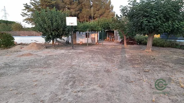 Spot image