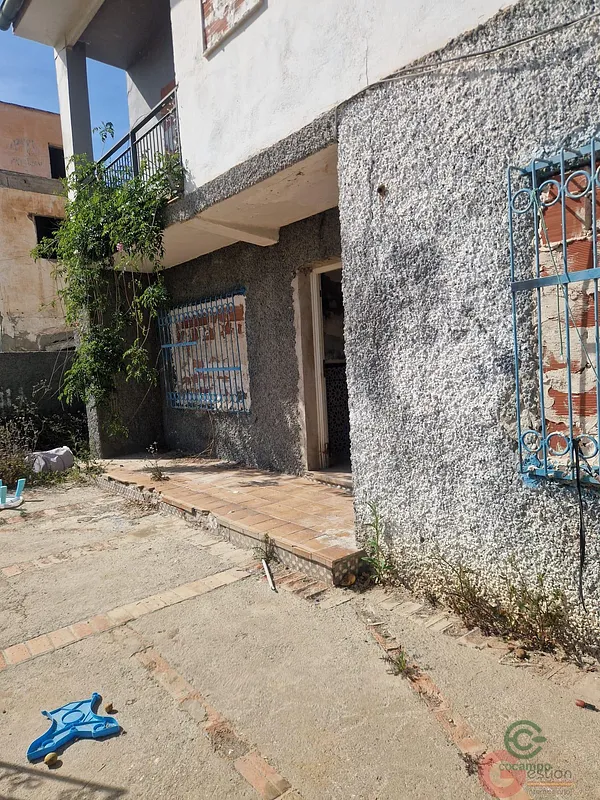 Spot image
