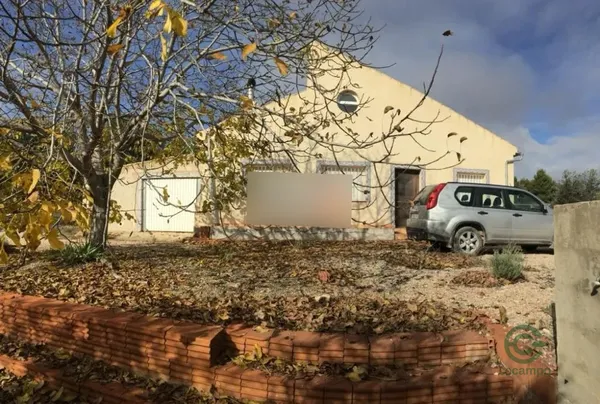 Spot image
