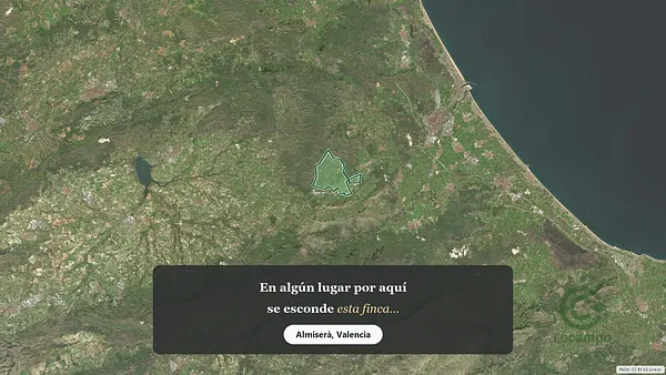 Spot image