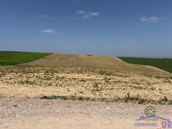 Finca agrícola de 11,6 ha en venta en Córdoba, Córdoba