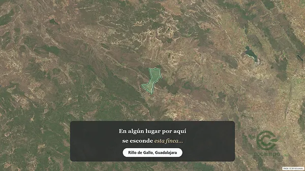 Spot image