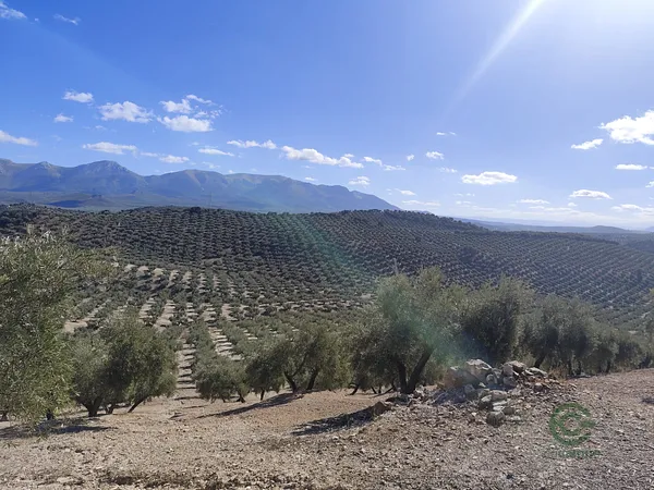 Finca agrícola de 6,2 ha en venta en Granada