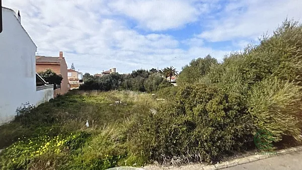 Spot image