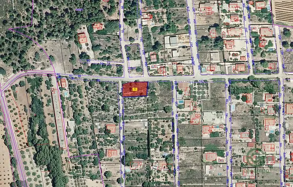 Spot image